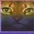 Dawn Warriors 2 The New Prophecy 3 Erin Hunter