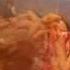 Lazy Man S Lasagna