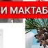 ВЛОГ КАДОМ ДОКУМЕНТО ДАРКОР БАРОИ МАКТАБ ЧАВОБ БА САВОЛХО