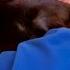 Shelter Cat Who Won T Stop Cuddling Was Abandoned Due To Too Affectionate Behavior