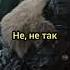 я знаю волшебный свист тор Shorts фильмы