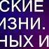 Деревенские истории из жизни Пять жизненных историй Любовь и Вдохновение