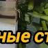 ЧЕСНОЧНЫЕ СТРЕЛКИ НА ЗИМУ РЕЦЕПТ МАРИНОВАННЫХ ЧЕСНОЧНЫЕ СТРЕЛОК НА ЗИМУ