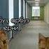 Арбуз пукнул смешноевидео коты арбуз пернул классика