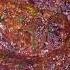 Perfect Juicy Beef Tomahawk Steak Shorts Shortvideo Trending Foryou Food Beef Steak Facts