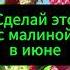 Правильная обрезка малины залог урожайности дача огород малина сад