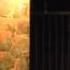 Opera Don Carlo By G Verdi Duet Son Io Mio Carlo Per Me Giunto