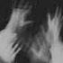 Iwilldiehere Ya Soshla S Uma