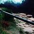 Lehi Sees An Iron Rod And Those Who Fall Away 1 Nephi 8 19 28