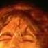 Whole Lotta Love