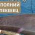 ЦЕ ПОЛНИЙ КАПЕЦ