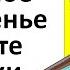 Обязательно в Вербное воскресенье освятите веточки вербы Что нужно и нельзя делать 25 апреля 2021