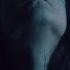 The Sacrifice Under The Moon Official Music Video