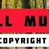Chris Lehman Flash All Music No Copyright Music