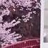 BTS SUGA Senpai Not Mine