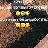 Точно Music дача душадух сад цитатыпрожизнь