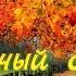 Солнечный октябрь Музыка для души