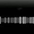 Bass Music Sıfır Bir Zurna Bass