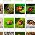 Lady Beetles Of Vermont Invasions Extirpations And Discoveries