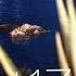 09 Ian Ikon Feat Maria Zlatani Discover Me Island 17 Early Drinks