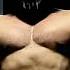 5x30 Samuraigym He Own This Song Samuraigym Attitude Trollface Edit Phonk Bodybuildinglife