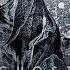 Dawn Of Solace Ghost Official Live Studio Video Noble Demon