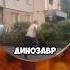 Братан все нормально приколы мемы