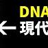 重傳 一座現代科技造不出的19世紀DNA形狀樓梯 一個史上最神秘的組織 所有答案都在於數字33 文昭思緒飛揚200期