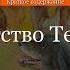 Краткое содержание Детство Тёмы
