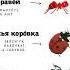 Визуальный словарь русского языка Visual Russian English Dictionary