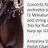 Flute Concerto No 2 Op 148 III Allegretto Andante Molto Ritenuto