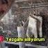 Домашние дела по Турецкий турецкий