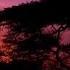 Ludwig Van Beethoven Egmont Overture