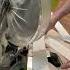 ASMR With A Ryobi Miter Saw Relaxation In Precision Cuts ASMRShorts