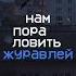 Дайте танк Спам Shorts