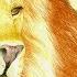 Сказка на английском языке с переводом Лев и мышь A Fairy Tale In English The Lion And The Mouse
