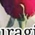 Atirgul Dasta Dasta Атиргул даста даста