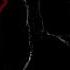 Eyes The Horror Game SCARY AS HELL DOWNLOAD LINK
