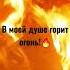 В моей душе горит огонь