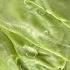 Cabbage Tastes Better Than Meat Incredibly Easy Quick And Delicious Recipe