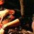 Ars Nova Horla Rising