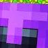 I Reached 1000 LEVELS In Minecraft Hardcore