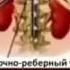 Бойрок оруунун шыпаа дубасы