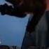 Black Cute Little Kitten Waving Hello Shorts Animalshorts Pets