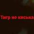 я тигр СИМБА