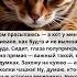 Душевная история Просыпаюсь а тут уже кот