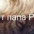 Два волка притча