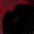 Perturbator Appropriation