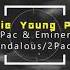 2pac Eminem If I Die Young