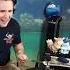 The8BitDrummer Plays Infected Mushroom Becoming Insane